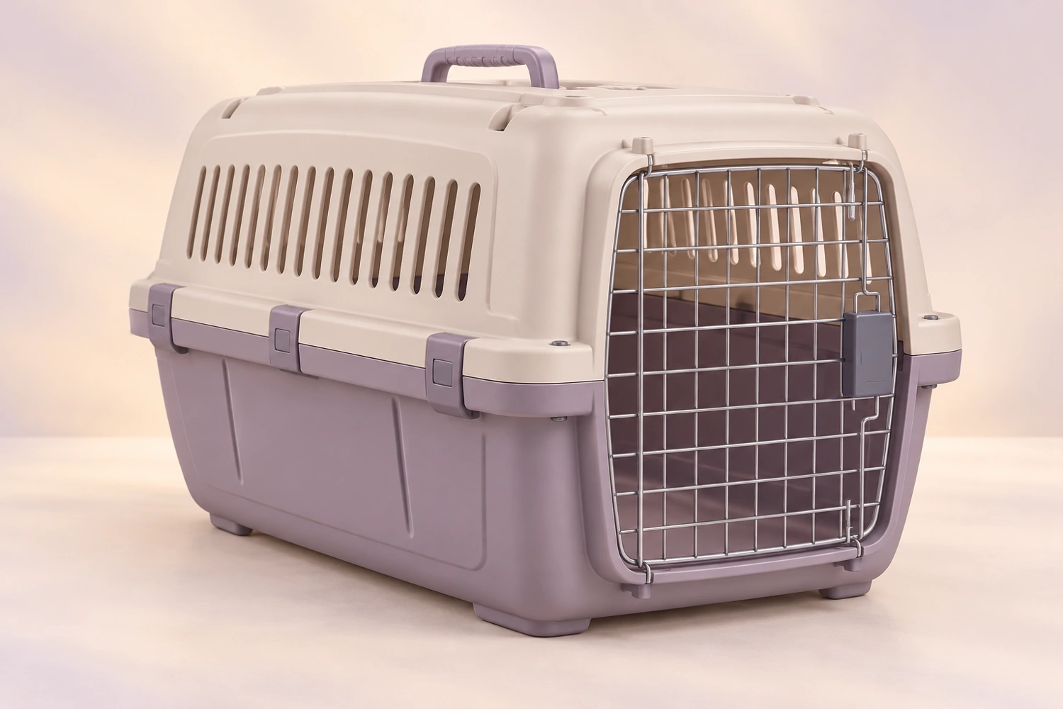 Imagen conceptual de Kennel Nube L